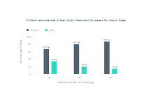 Protein reduces loss of LBM and increases fat loss in dogs. This chart shows percentage of loss (body fat and Lean body mass) vs % of dietary protien in diet.  20% dietary protein showed a loss of 3350g of body fat and 1700g of LBM. 30% dietary protein showed a loss of 3420g of body fat and 900g of LBM. 39% dietary protein showed a loss of 3800g of body fat and 700g of LBM.