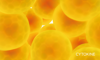 cytokine-image.png