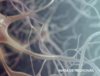 MASA DE NEURONAS