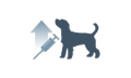 injection dog icon
