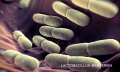 purina-institute-nrm-lactobacillus