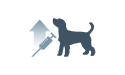 ícono de perro e inyección
