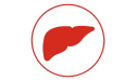 Allgemeines rotes Leber-Symbol