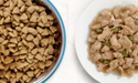 bowl of dry kibble and wet food on a plate