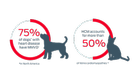 75% of dogs with heart disease have MMVD and HCM accounts for more than 50%