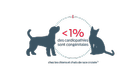 < 1 % des maladies cardiaques sont congénitales chez les chiens et les chats de races mixtes