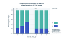 Disease progression in dogs with MMVD based on ACVIM stages