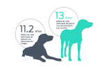 estudio de la mejora en el peso y la longevidad de los perros