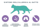 neutralizzanti-allergeni-sintomi-di-allergie-a-gatti