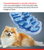 nova intervenção dietética para cães em estágio inicial de mmvd