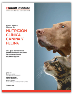 Libro electrónico 2024