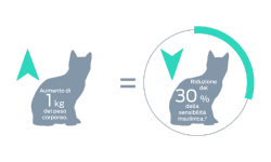 Aumento di 1 kg di peso corporeo=diminuzione del 30% della sensibilità all’insulina