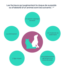 Les facteurs qui augmentent la probabilité qu'un animal de compagnie se retrouve en surpoids ou obèse sont les suivants<sup>1,2</sup> : Âge, stérilisation, apport calorique excessif, sédentarité, prédisposition génétique à la prise de poids.