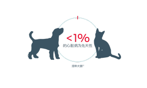 < 1% 的混种狗和猫心脏病是先天性的