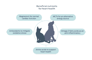 beneficial nutrients for heart health graphic