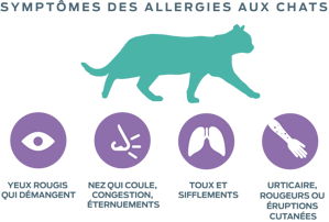 symptômes des allergies aux chats