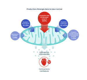 graphique sur les acides gras