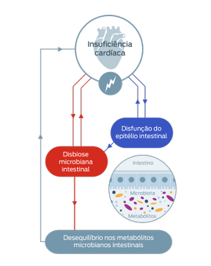 insuficiencia cardiaca