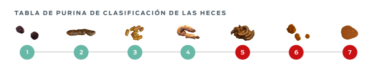 tabla fecal