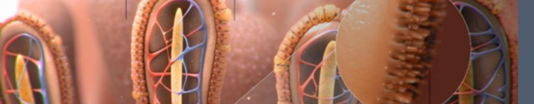 purina-institute-prebiotics