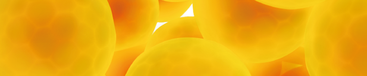 Patologie correlate al peso - Banner