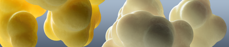 dha-Banner