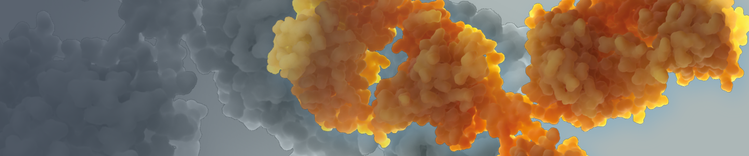 purina-istituto-colore