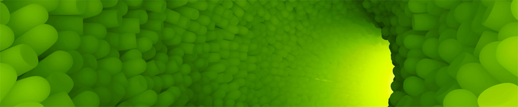 Promozione Della Salute Gastrointestinale