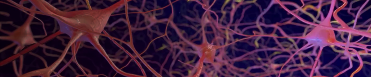 avanzando-el-cerebro