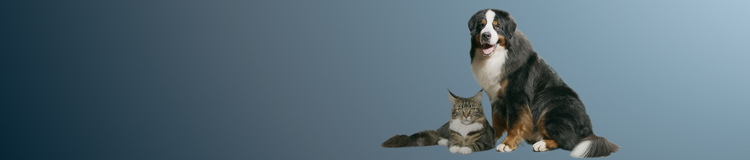 Science de la Nutrition