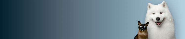 Samoa dog and Siamese cat