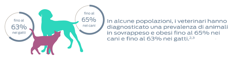 In alcune popolazioni, è stata diagnosticata dai veterinari una prevalenza di animali sovrappeso e obesi fino al 65% nei cani e fino al 63% nei gatti. Note a piè di pagina 2 e 3