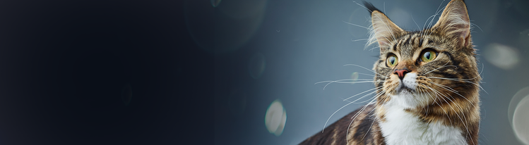 Purina-Institut-Purina-Forschung