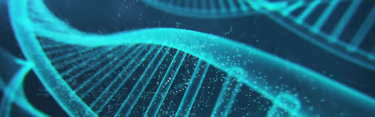 Exploring Molecular Nutrition