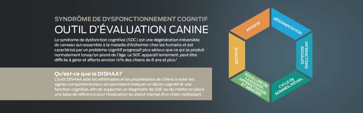 outil d'évaluation canine