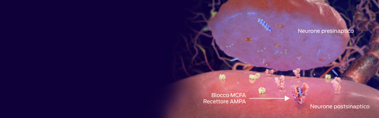 neurone presinaptico, recettore ampa che blocca mcfas, neurone postsinaptico