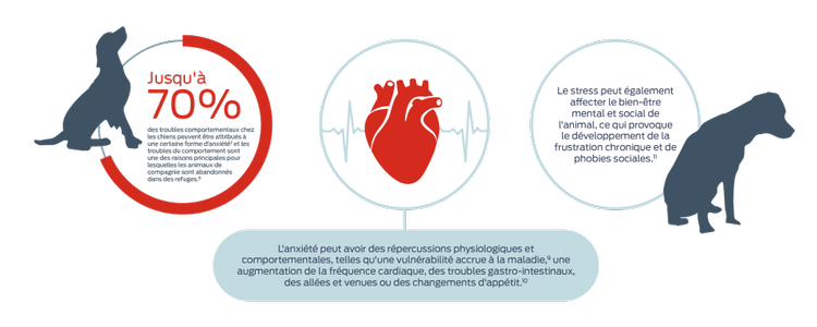 Jusqu'à 70 % des troubles du comportement chez les chiens peuvent être attribués à une certaine forme d'anxiété5 et les troubles du comportement sont la principale raison invoquée lors de l'abandon d'animaux de compagnie dans des refuges8. L'anxiété peut entraîner des effets physiologiques et comportementaux, tels qu'une sensibilité accrue aux maladies9, une augmentation du rythme cardiaque, des troubles gastro-intestinaux, des va-et-vient incessants ou des troubles de l'appétit10. Le stress peut également