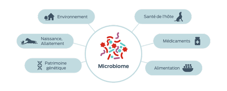 icône Facteurs influençant les microbiomes