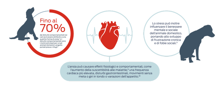 Fino al 70% dei disturbi comportamentali nei cani può essere attribuito a una qualche forma di ansia,5 e i disturbi comportamentali sono tra le motivazioni principali date dai proprietari per l'affidamento degli animali ai canili.8 L'ansia può provocare effetti fisiologici e comportamentali, come aumento della suscettibilità alle malattie,9 aumento della frequenza cardiaca, disturbi gastrointestinali, movimenti senza meta o variazioni dell'appetito.10 Lo stress inoltre può influenzare il benessere mentale e