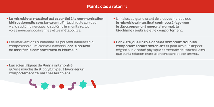 points clés à retenir