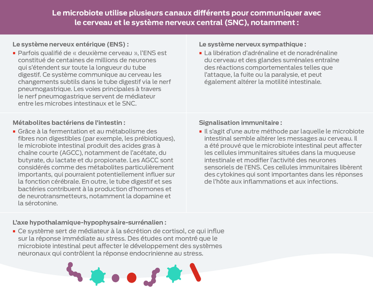 tableau du système nerveux central cérébral