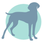 gráfico de perros
