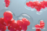 purina-instituto-genómica-metabolitos