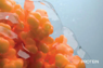 Instituto Purina Omnics Proteomics