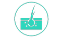teal canine follicle icon
