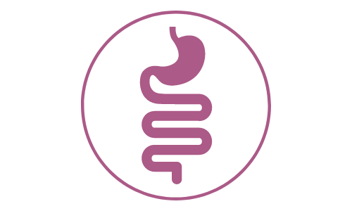 pictogramme de couleur violette illustrant les intestins des félins