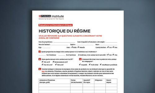 formulaire retraçant l'historique du régime alimentaire