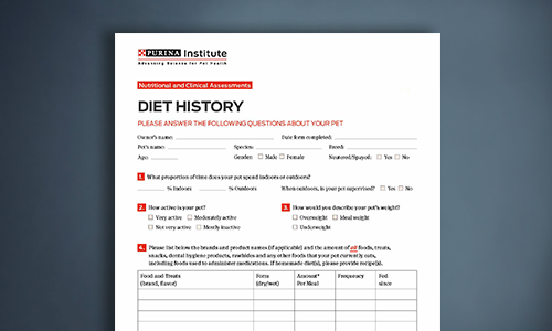 Pet Diet History Form | Purina Institute