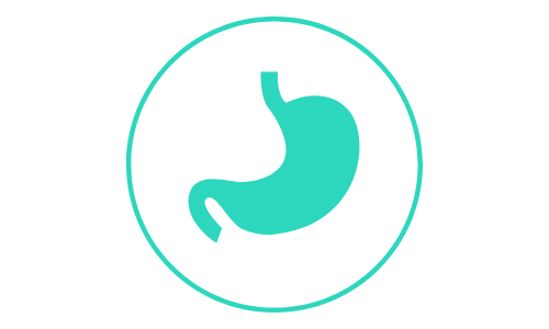 https://www.purinainstitute.com/sites/default/files/canine-stomach-icon.png