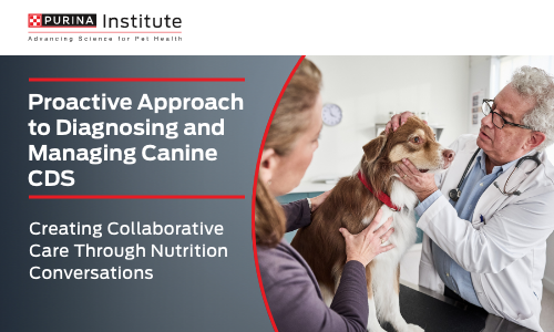 Proactive Approach to diagnosing and managing canine CDS